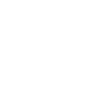 Mic icon